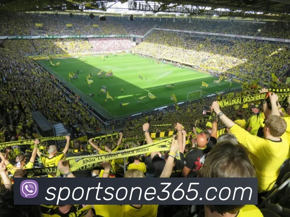 赛事运营发展历程